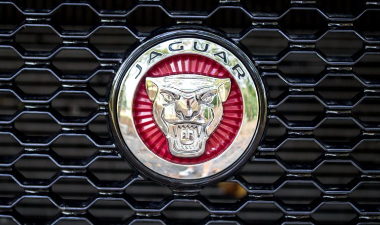 jaguar-for-wired-27